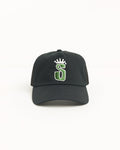 S CROWN TRUCKER