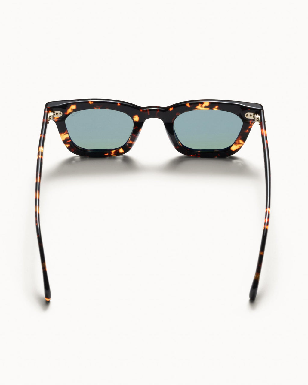 ACE SUNGLASSES